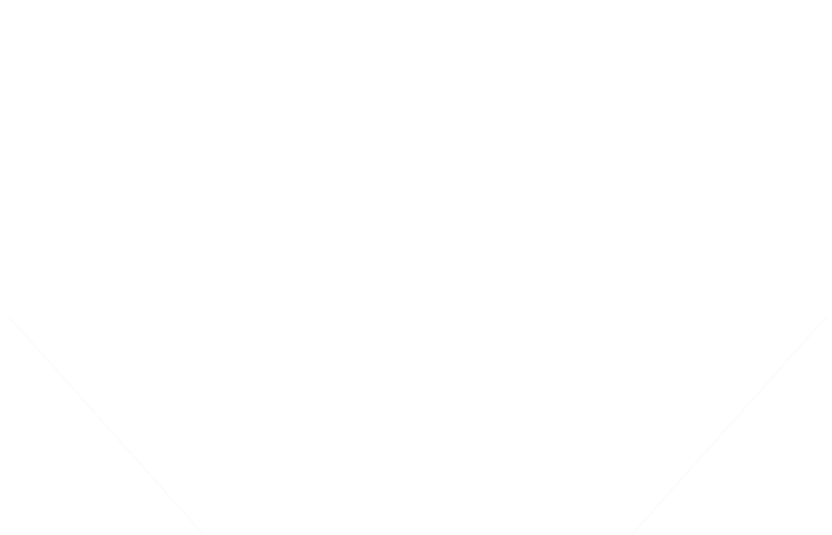 店主おまかせ